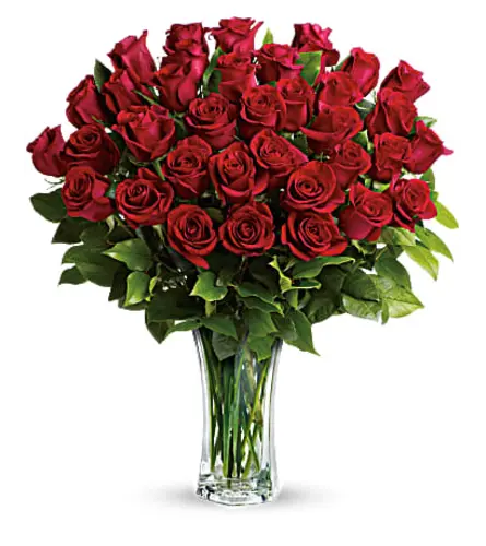 DF 43 - 36 Red Roses in a vase 